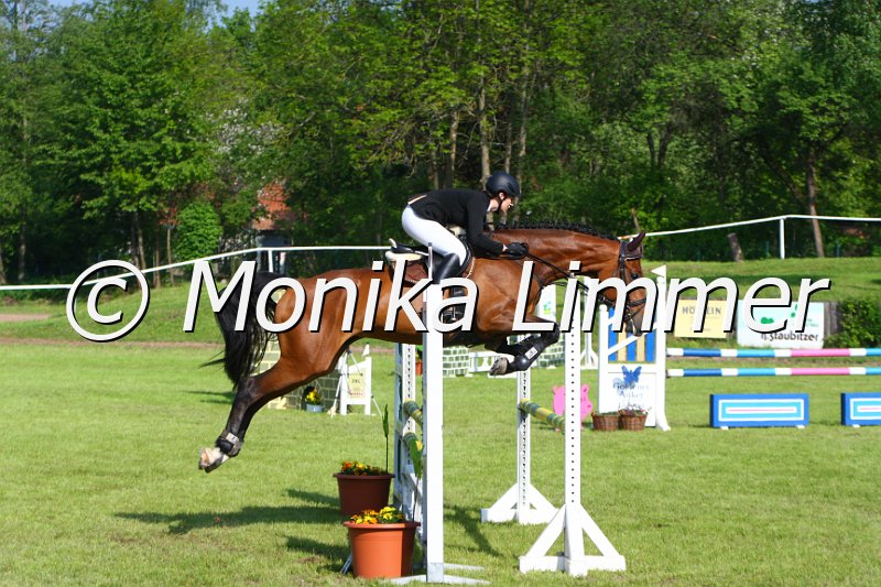 005M4028_Curly_Springpferde A.JPG